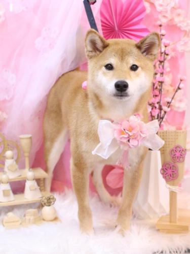 20250302れんたろうくん